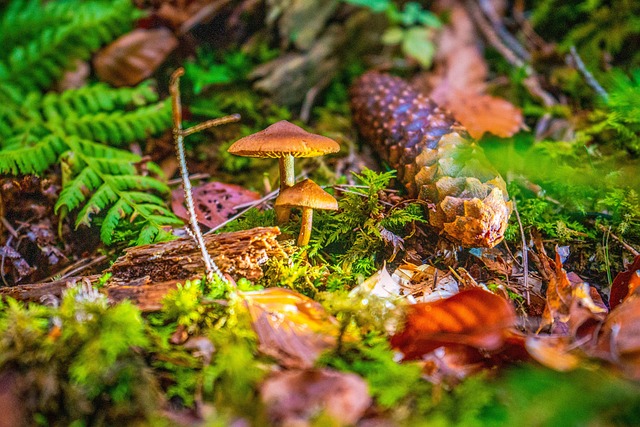 Solarpanele auf einem Einfamilienhaus mit Batteriespeicher im Keller in Deutschland